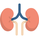 Insuficiência renal