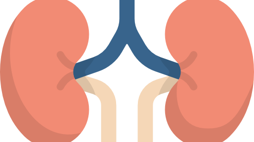 Insuficiência renal