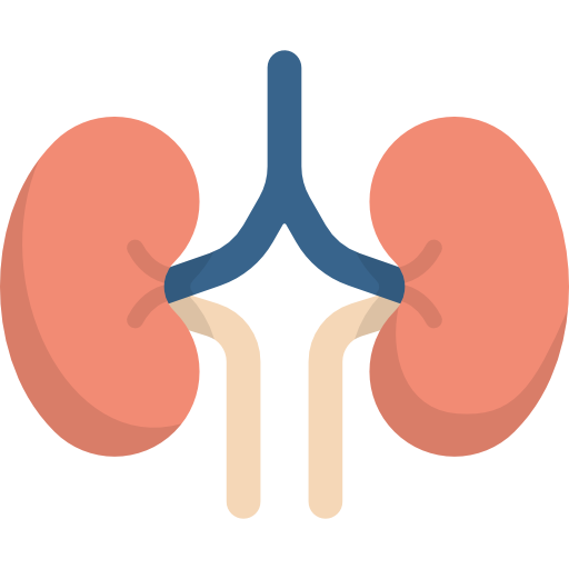 Insufici&ecirc;ncia renal