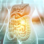 Síndrome do intestino irritável: entenda a relação com o estilo de vida Leia mais em: https://saude.abril.com.br/medicina/sindrome-do-intestino-irritavel-entenda-a-relacao-com-o-estilo-de-vida/