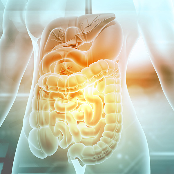 Síndrome do intestino irritável: entenda a relação com o estilo de vida Leia mais em: https://saude.abril.com.br/medicina/sindrome-do-intestino-irritavel-entenda-a-relacao-com-o-estilo-de-vida/