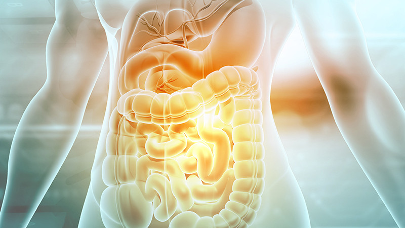 Síndrome do intestino irritável: entenda a relação com o estilo de vida Leia mais em: https://saude.abril.com.br/medicina/sindrome-do-intestino-irritavel-entenda-a-relacao-com-o-estilo-de-vida/