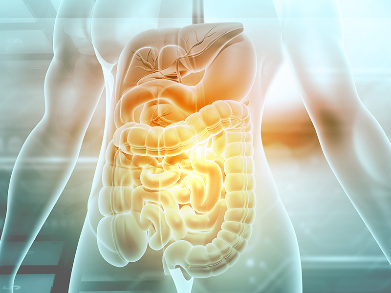 S&iacute;ndrome do intestino irrit&aacute;vel: entenda a rela&ccedil;&atilde;o com o estilo de vida Leia mais em: https://saude.abril.com.br/medicina/sindrome-do-intestino-irritavel-entenda-a-relacao-com-o-estilo-de-vida/