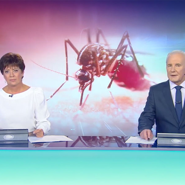 Chegada do verão e das chuvas acende alerta para proliferação do mosquito da dengue