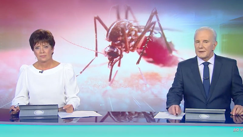 Chegada do verão e das chuvas acende alerta para proliferação do mosquito da dengue