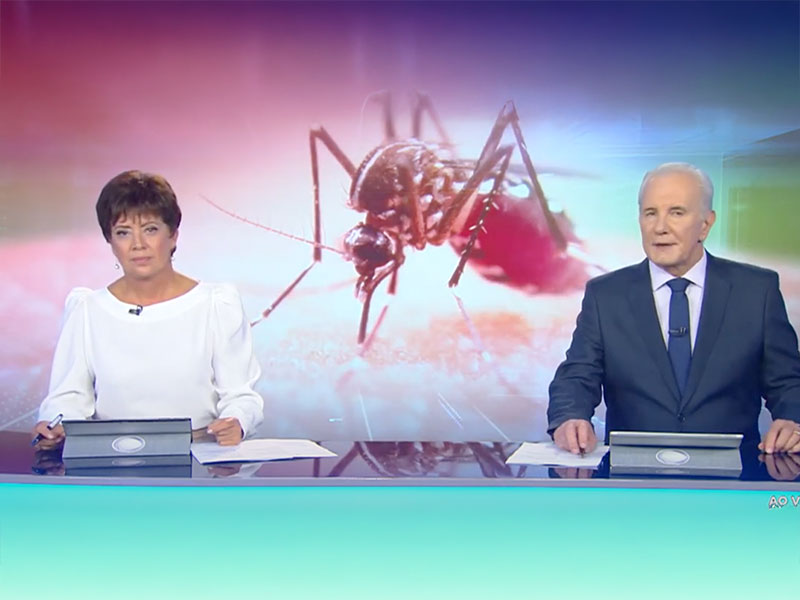 Chegada do verão e das chuvas acende alerta para proliferação do mosquito da dengue